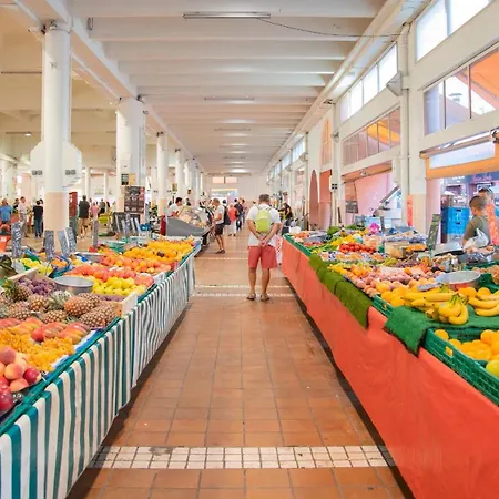 House - Plages Du Midi- 3 Ch - 3 Sdd - 2 Wc - Fibre - Pkgs Apartment *