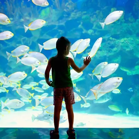 House - Plages Du Midi- 3 Ch - 3 Sdd - 2 Wc - Fibre - Pkgs Apartment Cannes