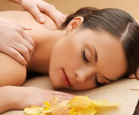 House - Plages Du Midi- 3 Ch - 3 Sdd - 2 Wc - Fibre - Pkgs Apartment Cannes