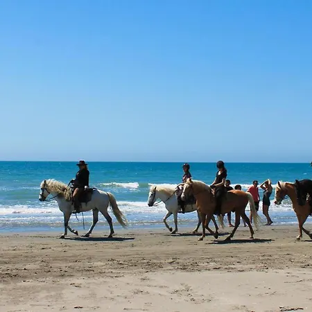 Apartment House - Plages Du Midi- 3 Ch - 3 Sdd - 2 Wc - Fibre - Pkgs Cannes