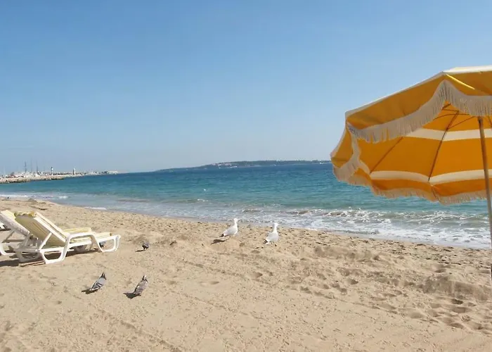 House - Plages Du Midi- 3 Ch - 3 Sdd - 2 Wc - Fibre - Pkgs